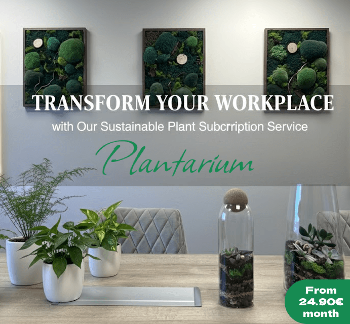 Plantarim Corporation Plant Rental Services